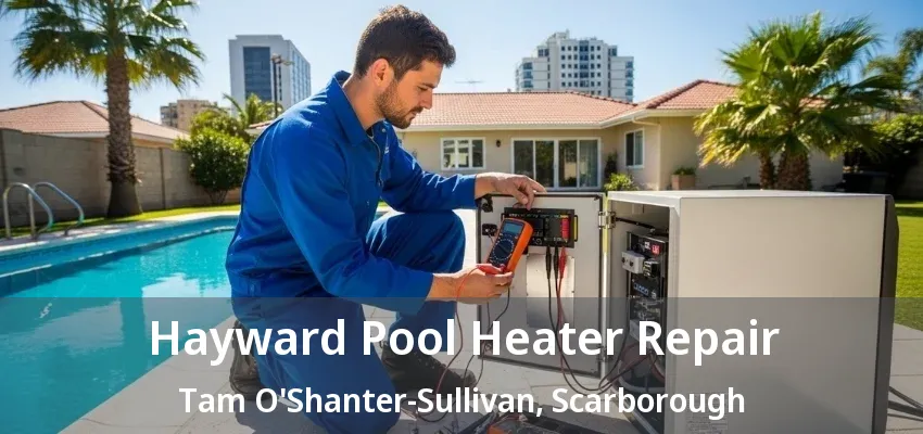 Hayward Pool Heater Repair Tam O'Shanter-Sullivan, Scarborough - ON
