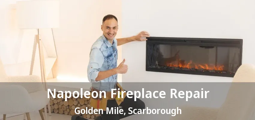 Napoleon Fireplace Repair Golden Mile, Scarborough - ON