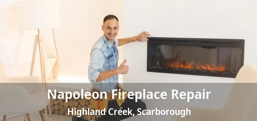 Napoleon Fireplace Repair Highland Creek, Scarborough - ON Napoleon Fireplace Repair Highland Creek, Scarborough - ON