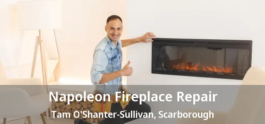 Napoleon Fireplace Repair Tam O'Shanter-Sullivan, Scarborough - ON