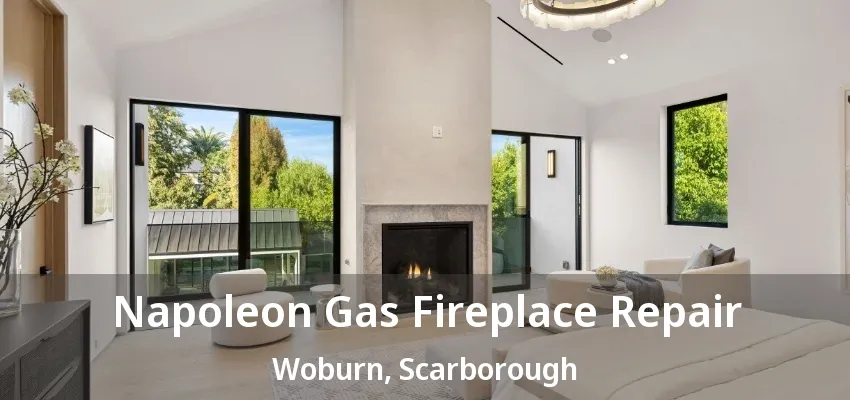Napoleon Gas Fireplace Repair Woburn, Scarborough - ON Napoleon Gas Fireplace Repair Woburn, Scarborough - ON