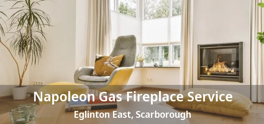 Napoleon Gas Fireplace Service Eglinton East, Scarborough - ON Napoleon Gas Fireplace Service Eglinton East, Scarborough - ON