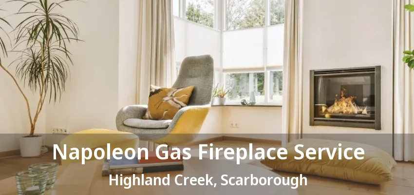 Napoleon Gas Fireplace Service Highland Creek, Scarborough - ON Napoleon Gas Fireplace Service Highland Creek, Scarborough - ON