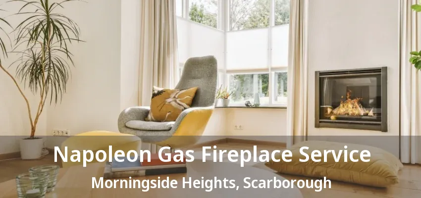 Napoleon Gas Fireplace Service Morningside Heights, Scarborough - ON