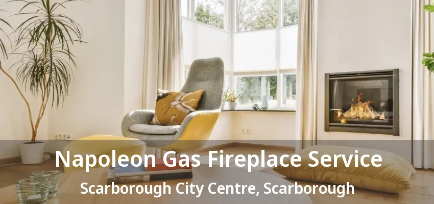 Napoleon Gas Fireplace Service Scarborough City Centre, Scarborough - ON