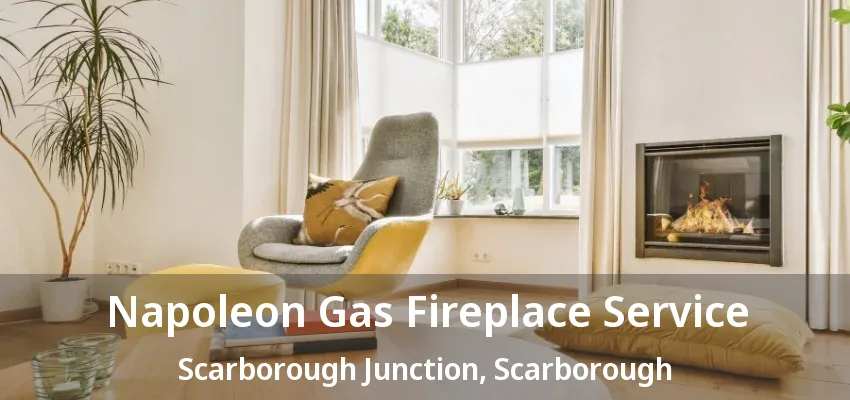 Napoleon Gas Fireplace Service Scarborough Junction, Scarborough - ON Napoleon Gas Fireplace Service Scarborough Junction, Scarborough - ON