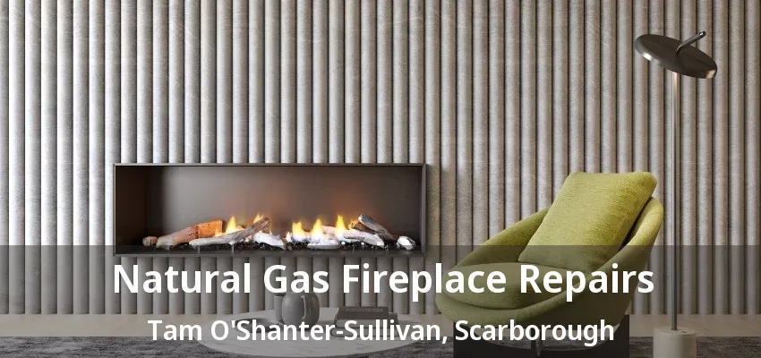 Natural Gas Fireplace Repairs Tam O'Shanter-Sullivan, Scarborough - ON Natural Gas Fireplace Repairs Tam O'Shanter-Sullivan, Scarborough - ON