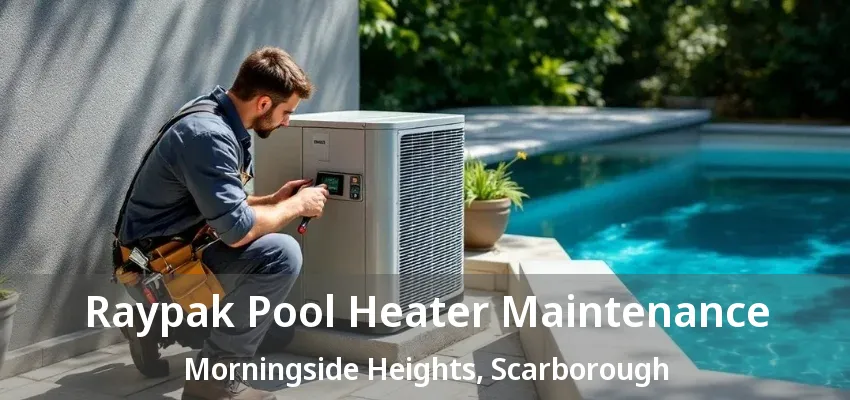 Raypak Pool Heater Maintenance Morningside Heights, Scarborough - ON