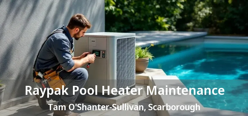 Raypak Pool Heater Maintenance Tam O'Shanter-Sullivan, Scarborough - ON